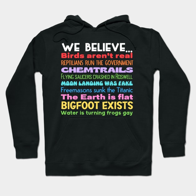 We Believe Conspiracies Hoodie by Slightly Unhinged